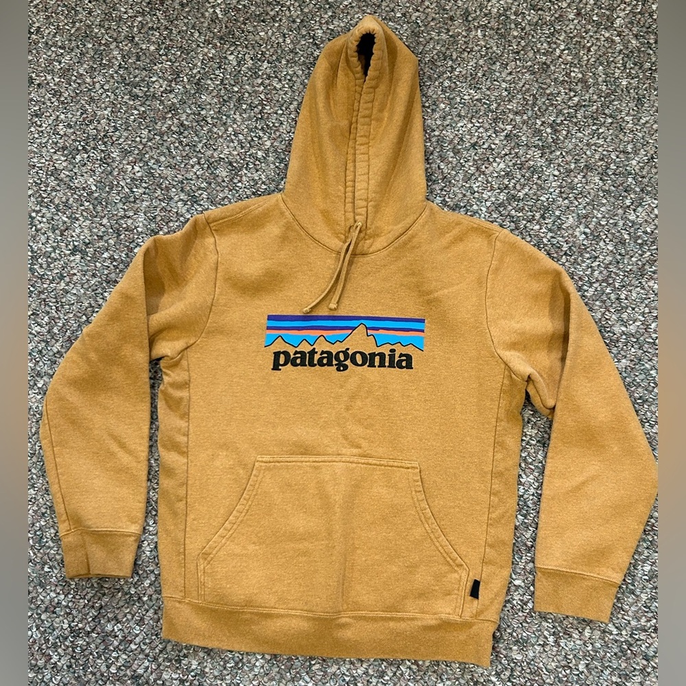 PATAGONIA women’s hoodie, size large